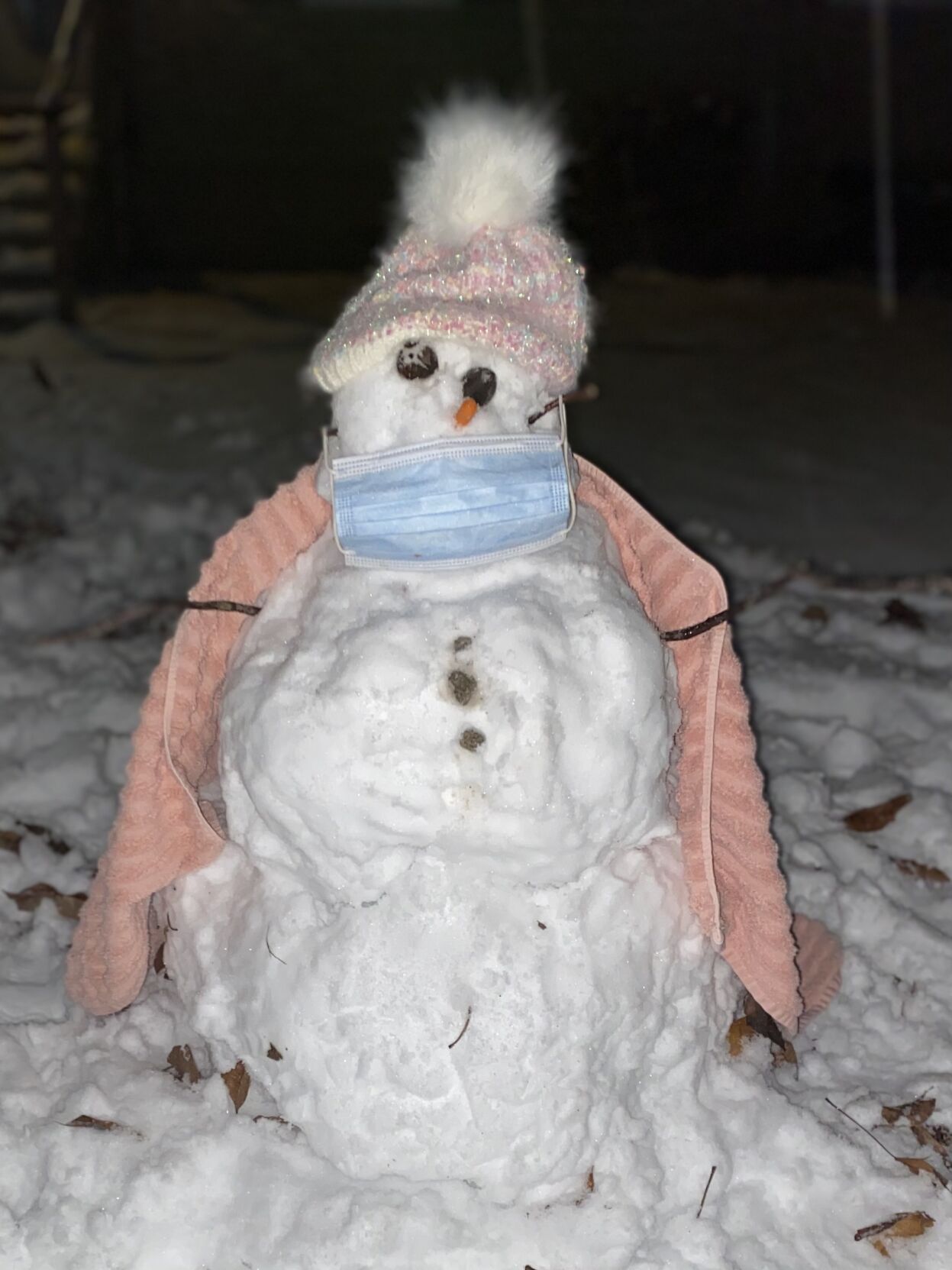 Seals snowman